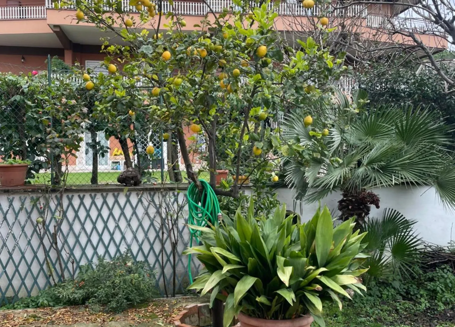 Villa Appartamento Rome Italy